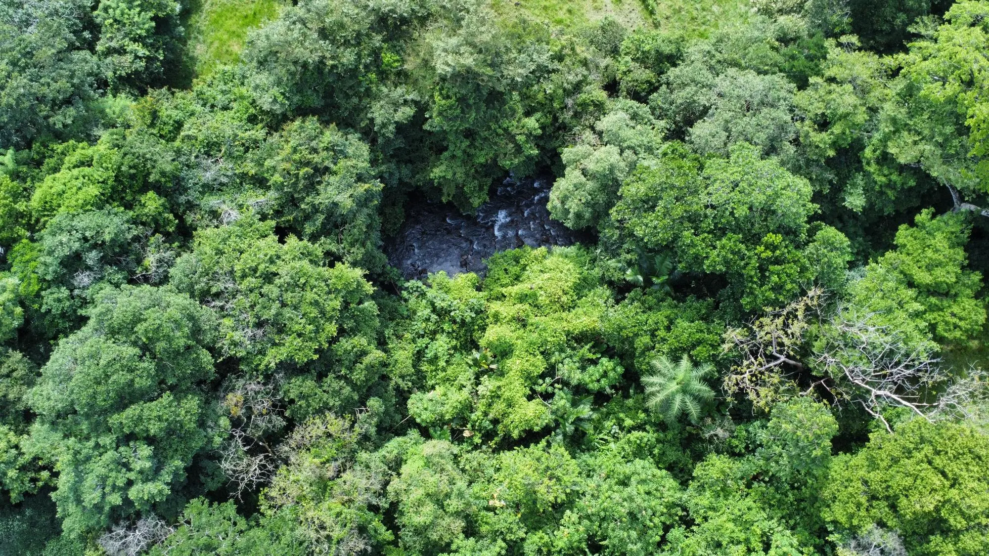 0 Chiriquí, Dolega, Tinajas - Photo 35