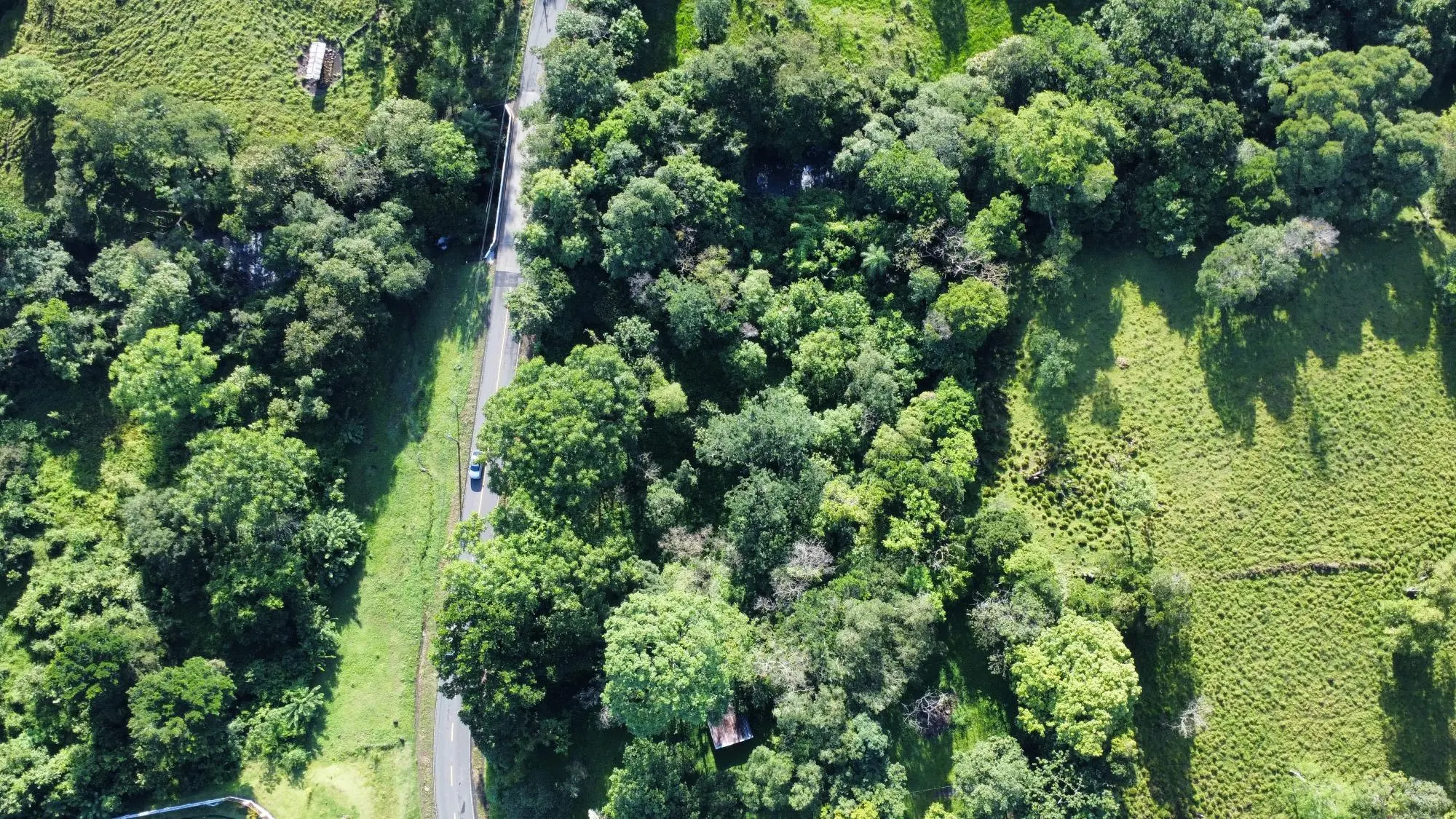 0 Chiriquí, Dolega, Tinajas - Photo 8