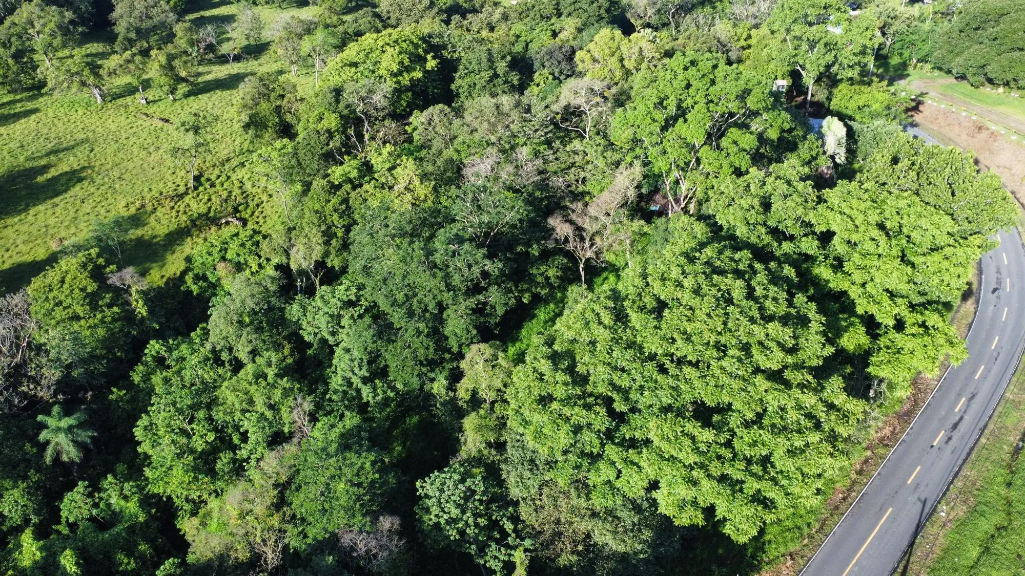 0 Chiriquí, Dolega, Tinajas - Photo 10