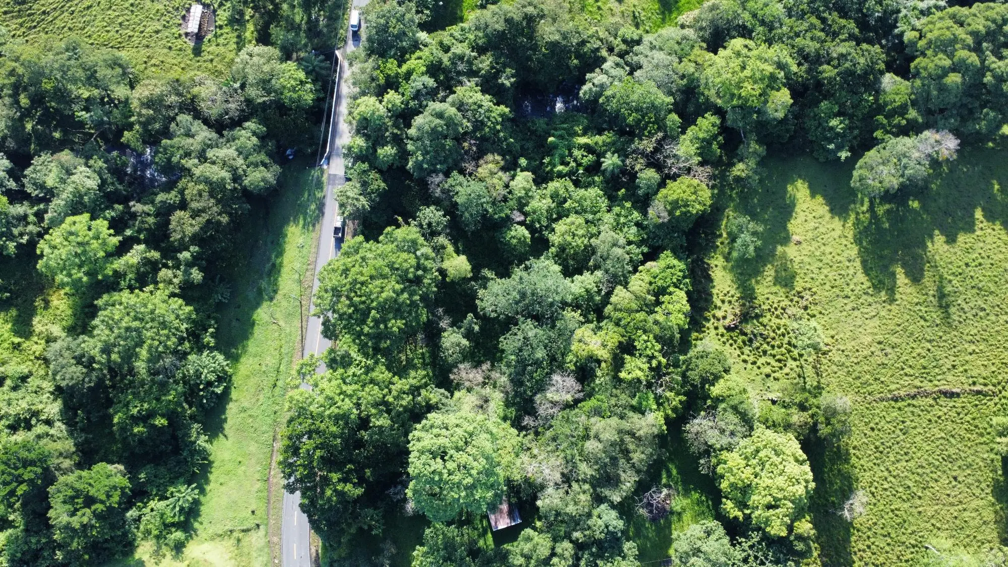 0 Chiriquí, Dolega, Tinajas - Photo 5