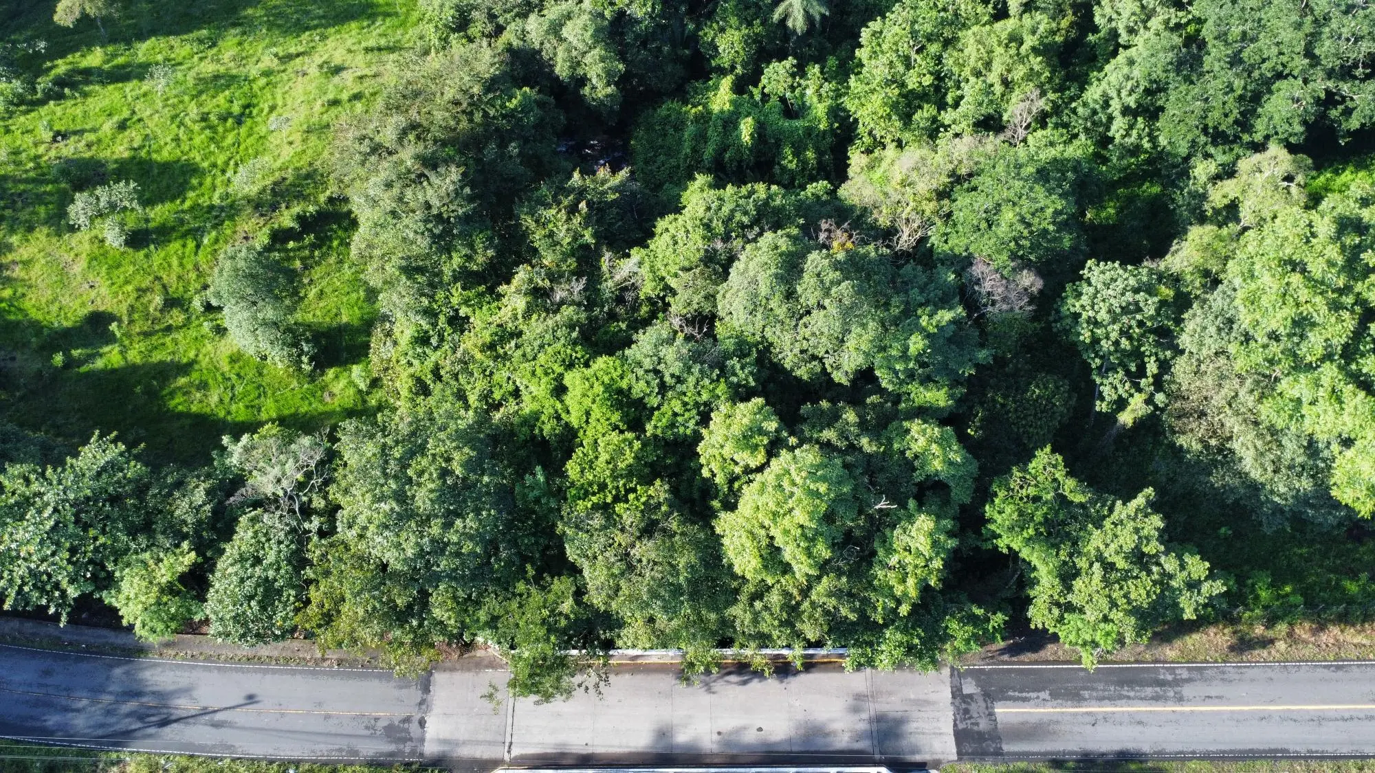 0 Chiriquí, Dolega, Tinajas - Photo 14