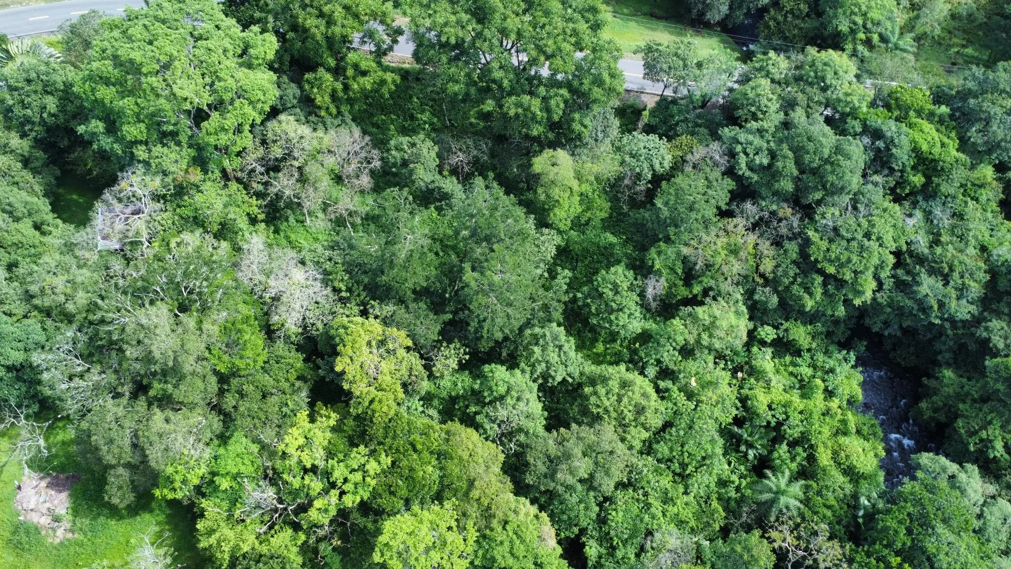 0 Chiriquí, Dolega, Tinajas - Photo 31