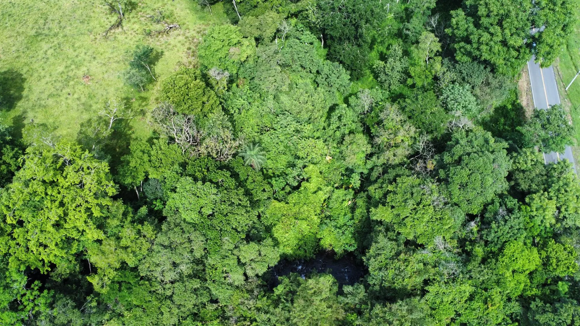 0 Chiriquí, Dolega, Tinajas - Photo 30