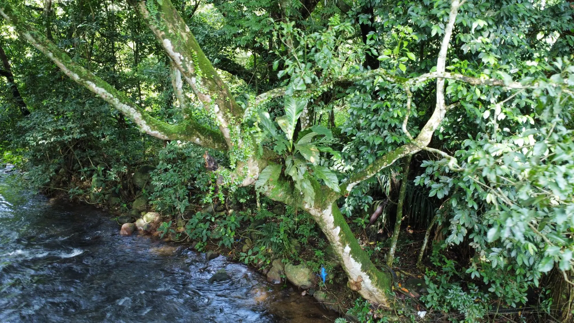 0 Chiriquí, Dolega, Tinajas - Photo 26