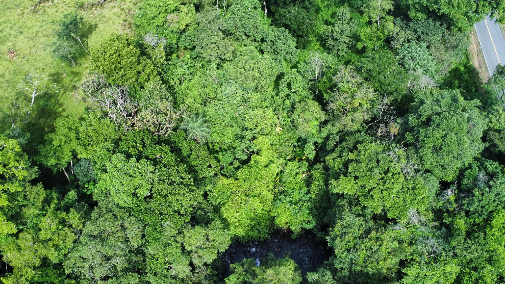 0 Chiriquí, Dolega, Tinajas - Photo 20