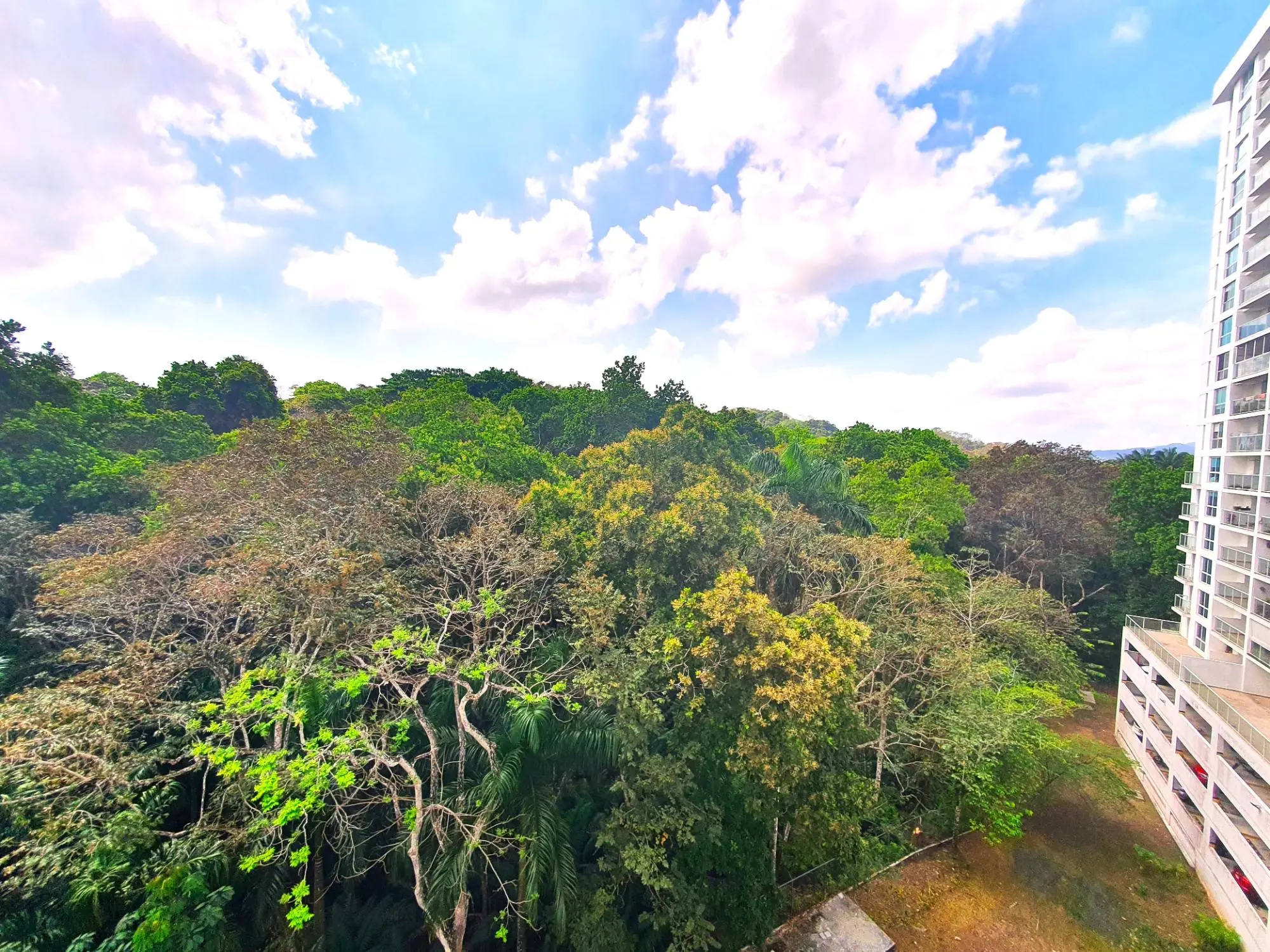 T400 Calle Principal Clayton #6d - Photo 30