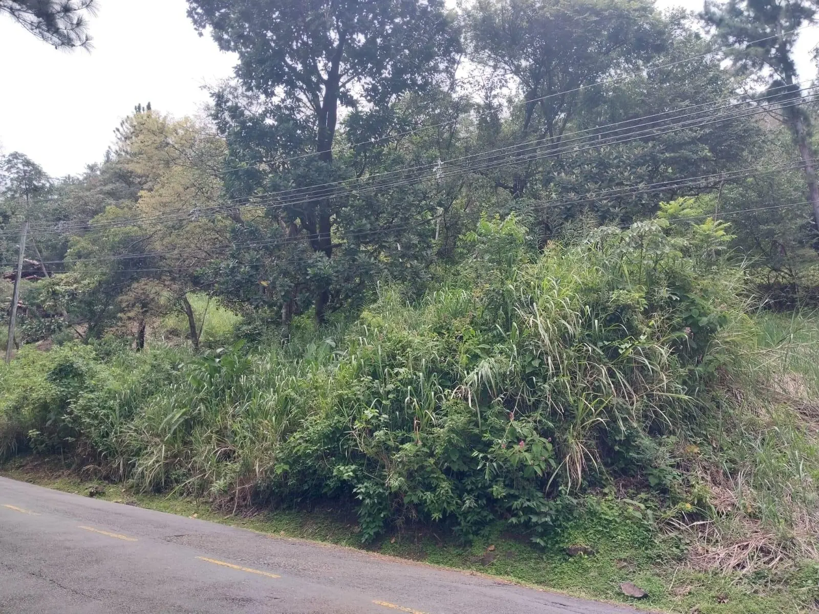 Altos Del Maria, Toscana Sur, Zona Lucca #lucca - Photo 5