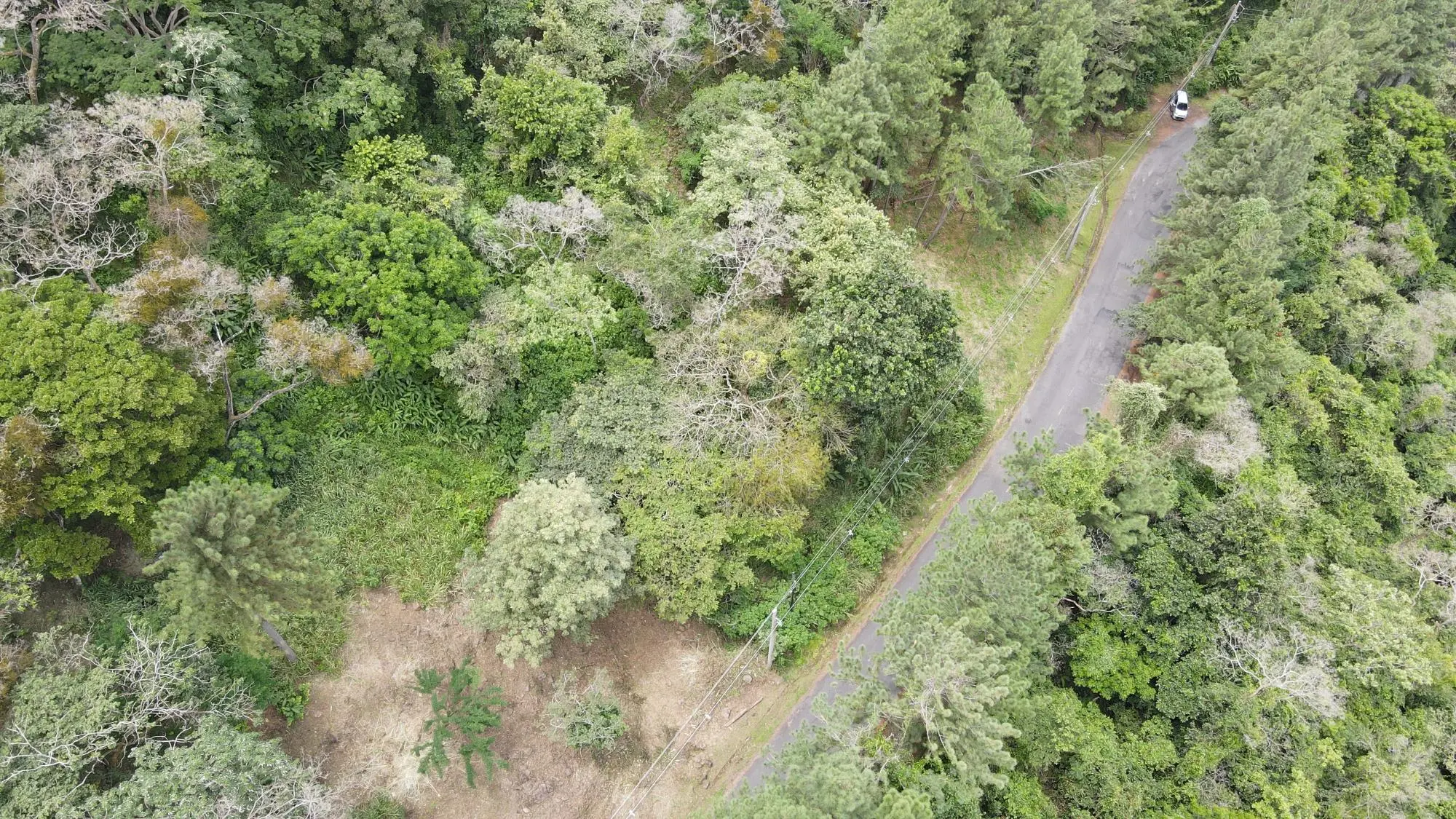 Altos Del Maria, Toscana Sur, Zona Lucca #lucca - Photo 2