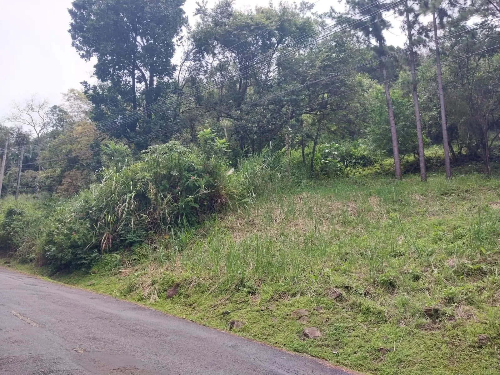 Altos Del Maria, Toscana Sur, Zona Lucca #lucca - Photo 4