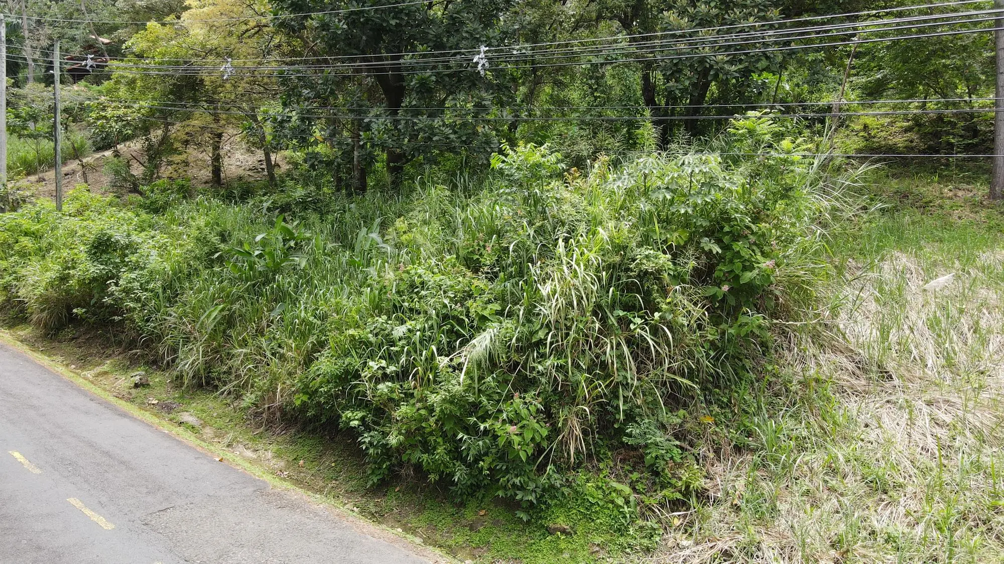 Altos Del Maria, Toscana Sur, Zona Lucca #lucca - Photo 7