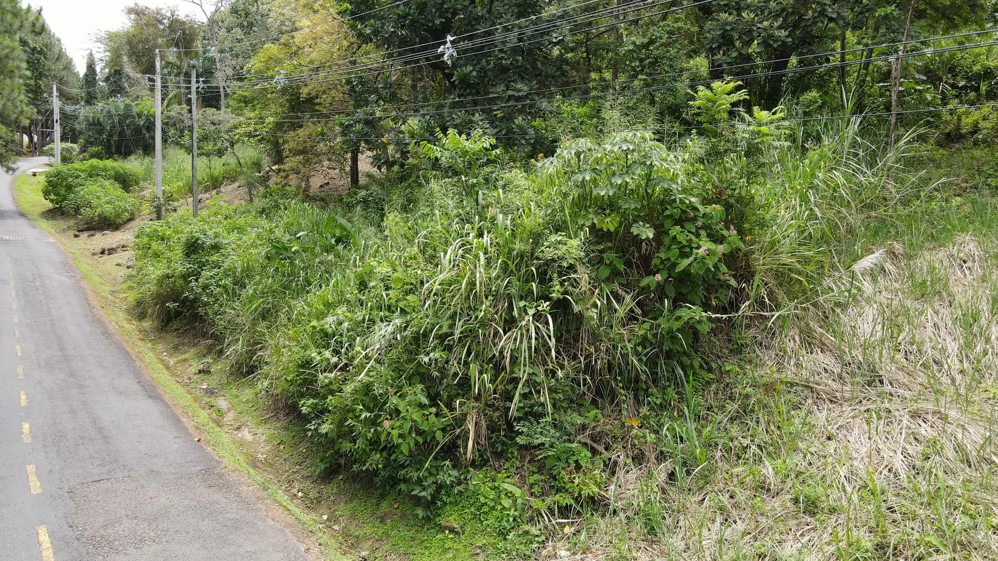 Altos Del Maria, Toscana Sur, Zona Lucca #lucca - Photo 8