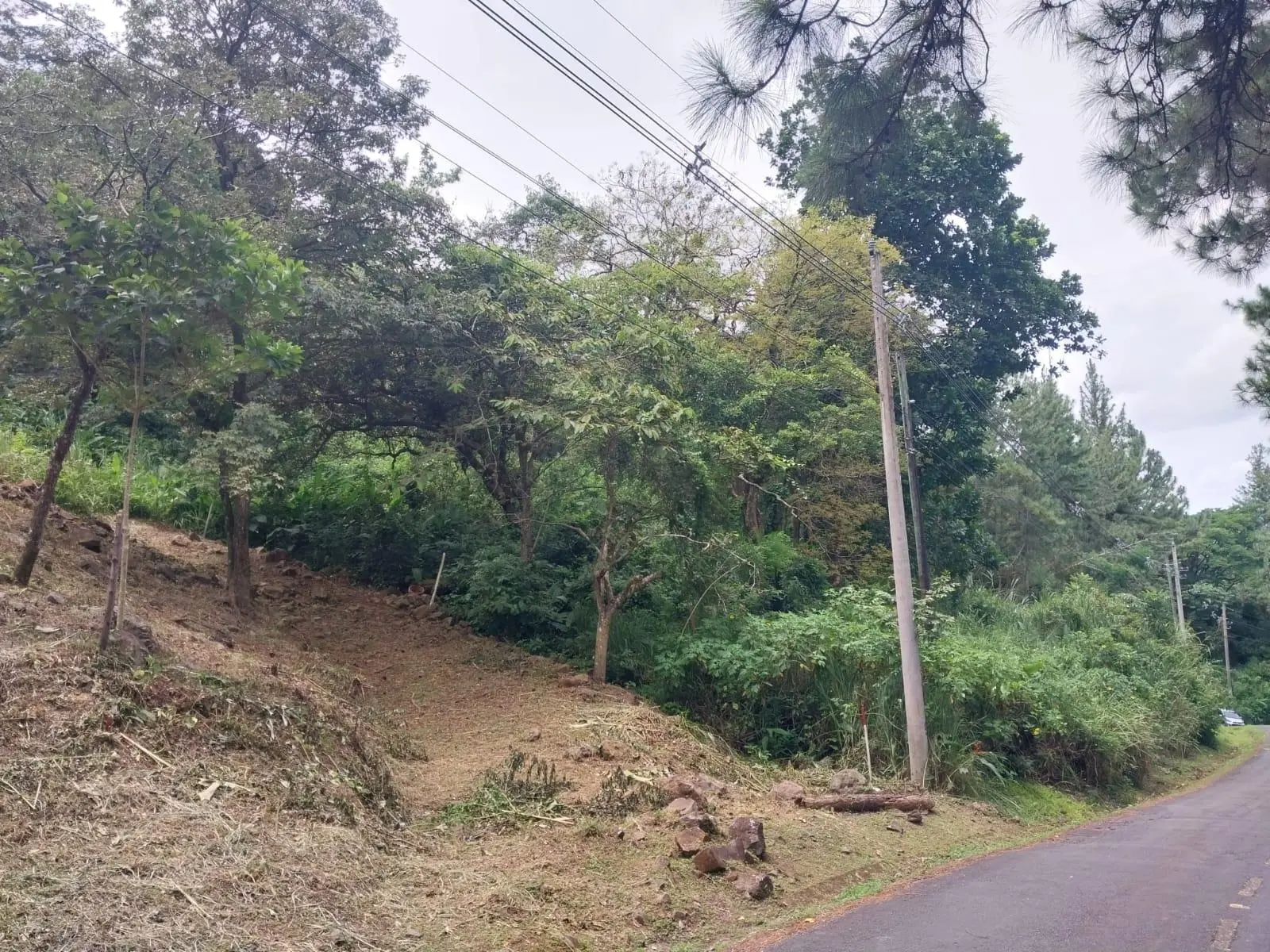 Altos Del Maria, Toscana Sur, Zona Lucca #lucca - Photo 6