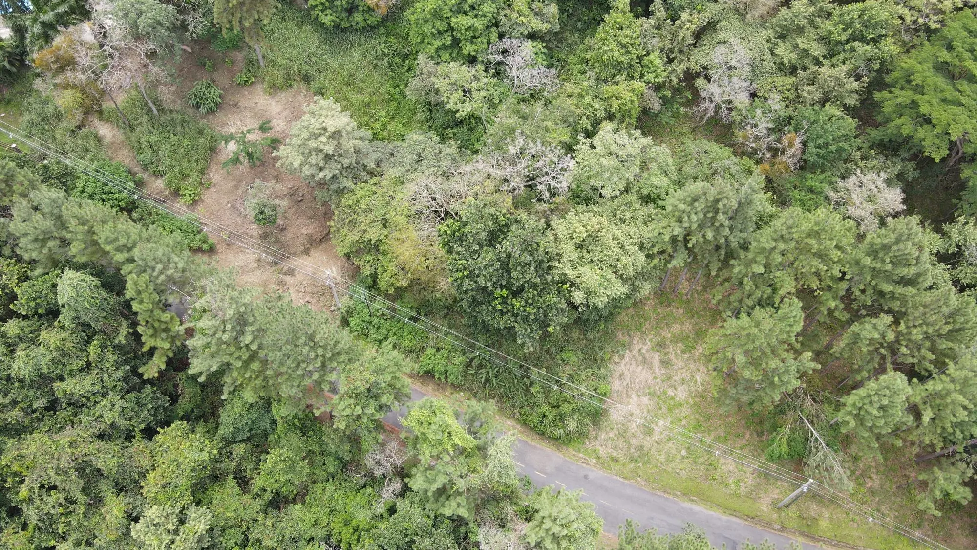 altos del maria, toscana sur, zona lucca #lucca