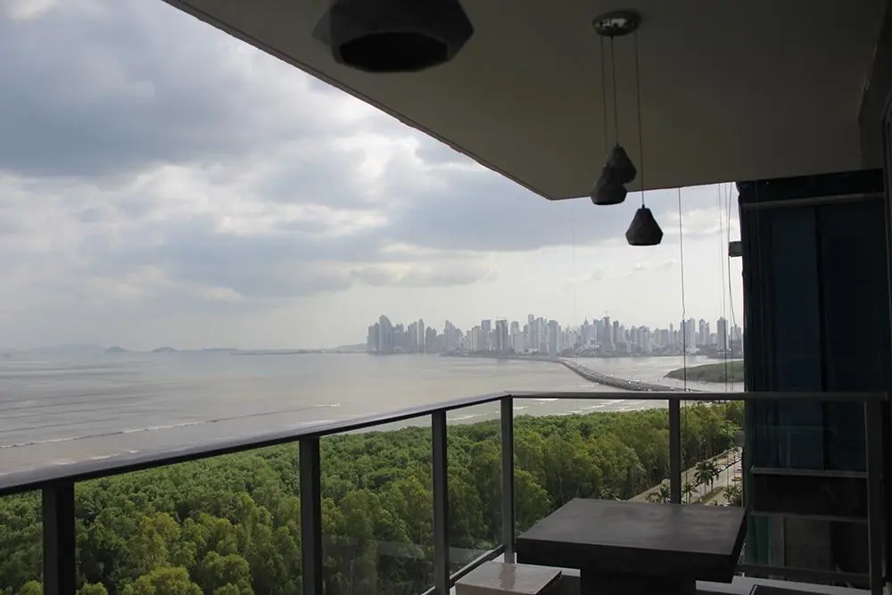 Av Paseo Del Mar #12c - Photo 65