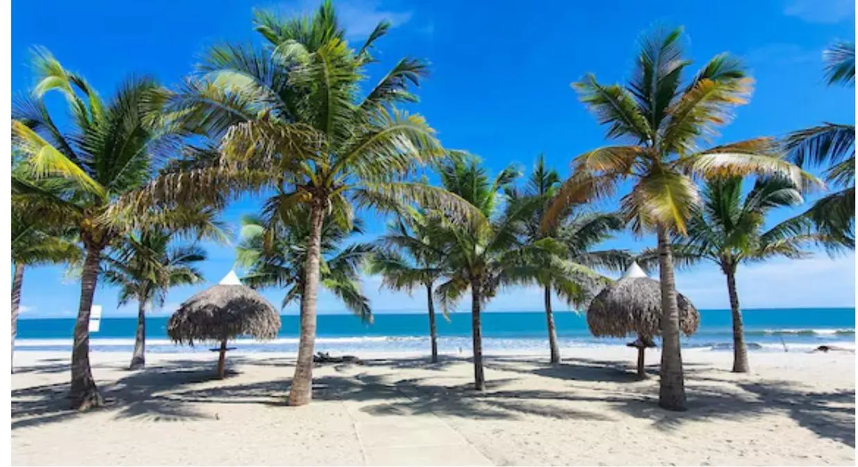 Playa Caracol #03b-4e - Photo 26