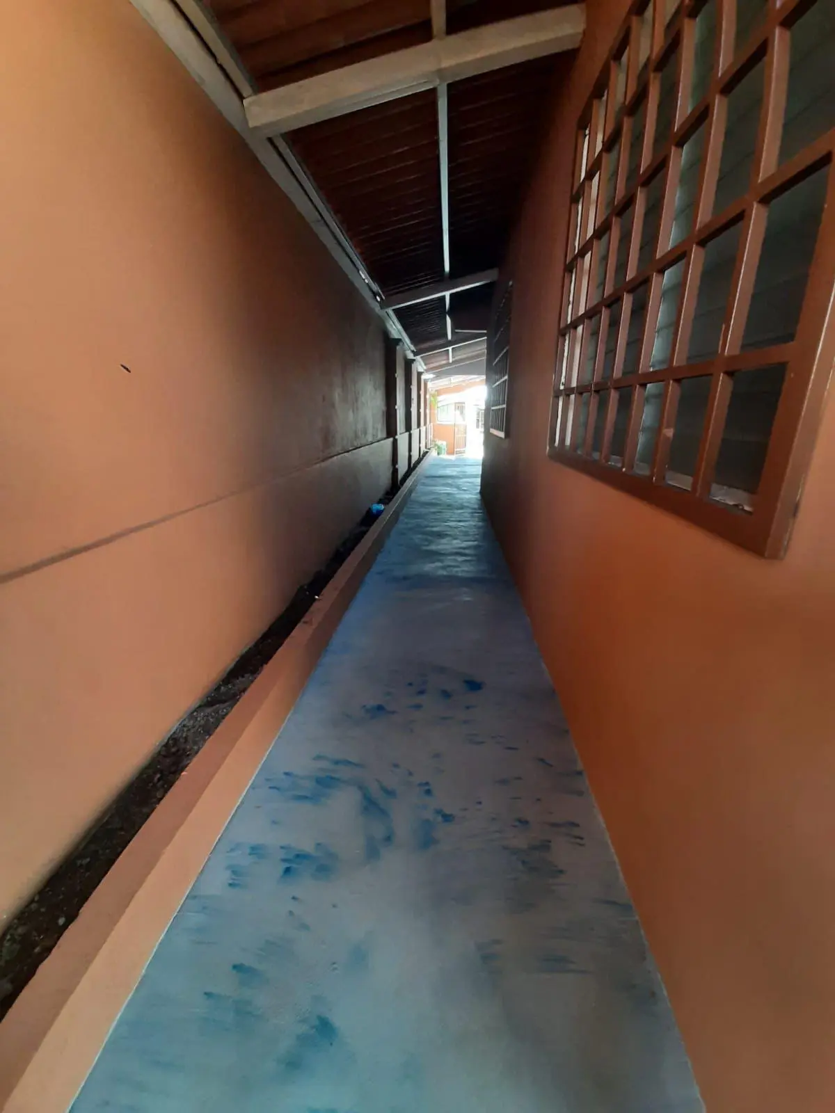 Valle Dorado - Photo 83