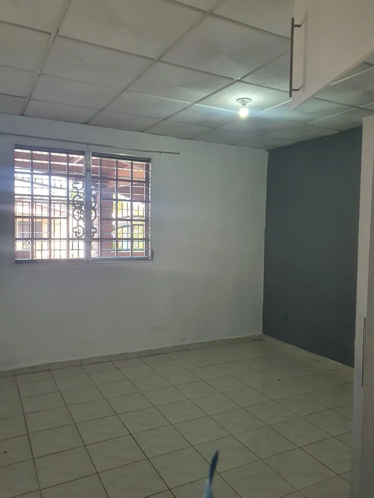 Valle Dorado - Photo 16