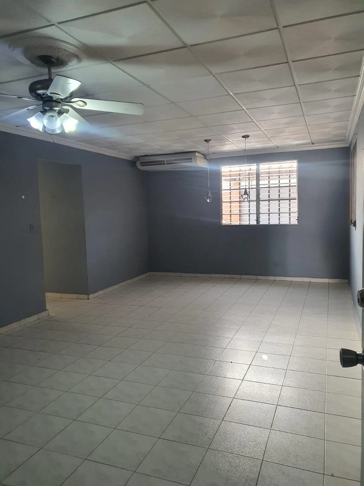 Valle Dorado - Photo 19