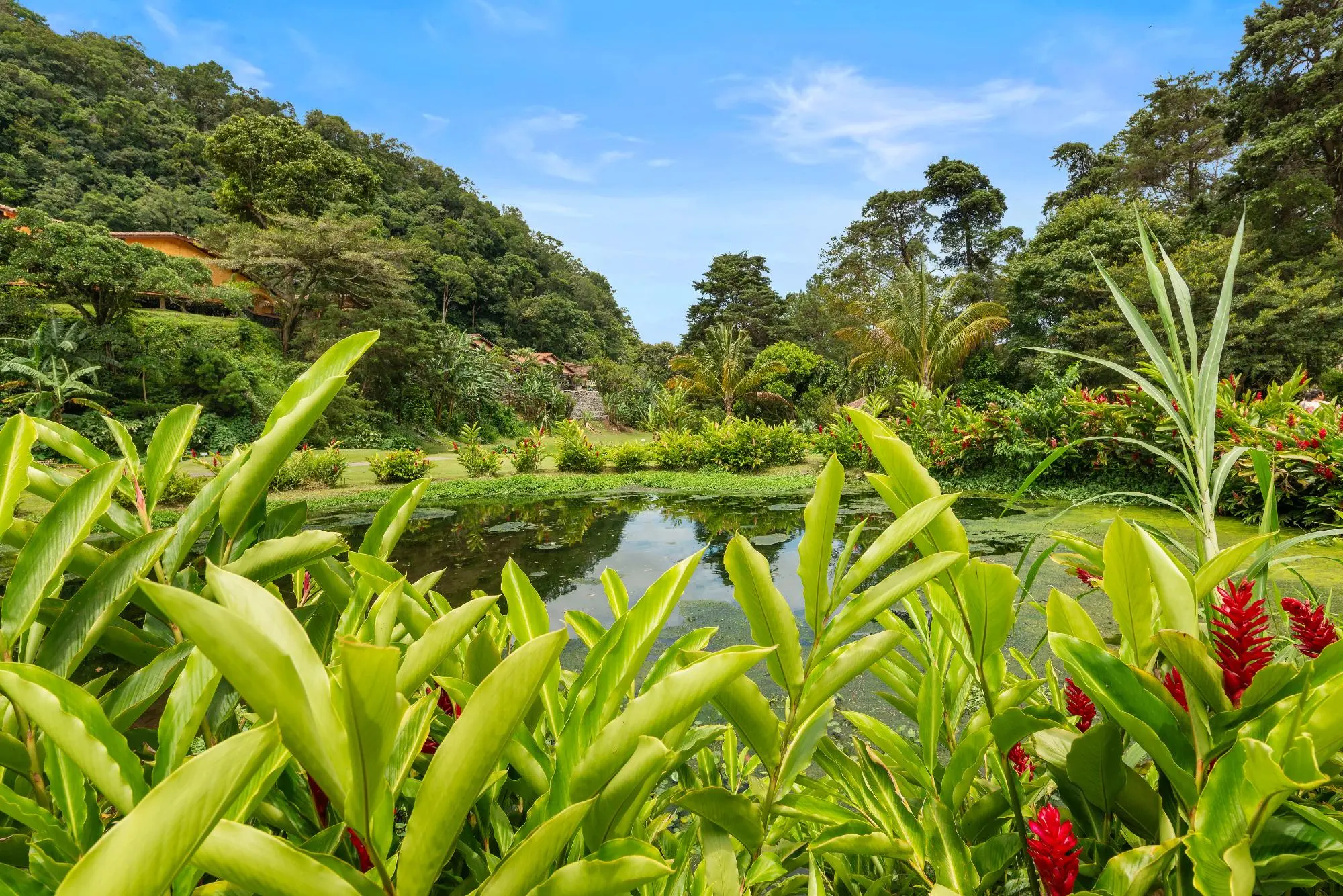 0 Chiriquí, Boquete, Valle Escondido, Unit 155-c #155-c - Photo 139