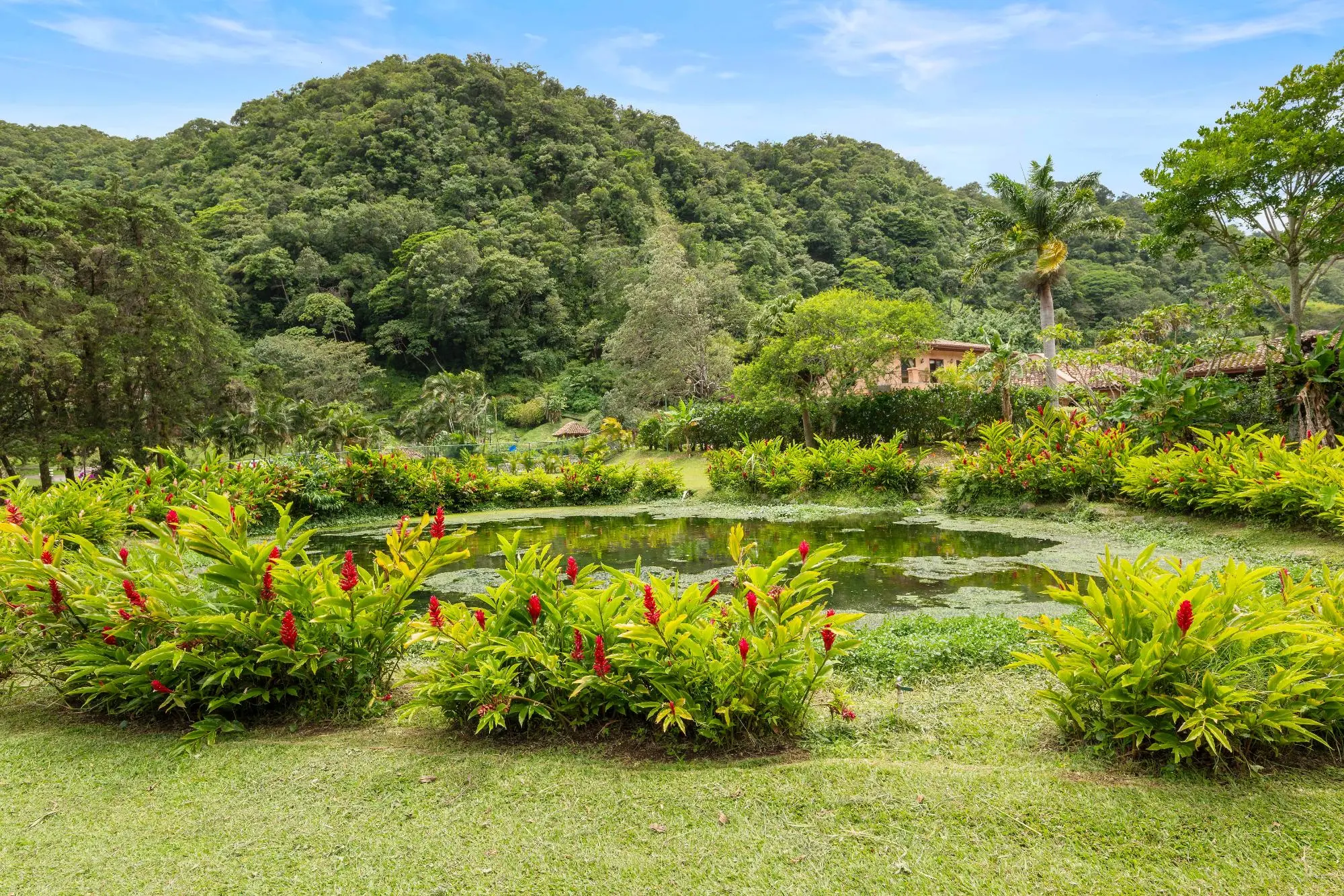 0 Chiriquí, Boquete, Valle Escondido, Unit 155-c #155-c - Photo 143