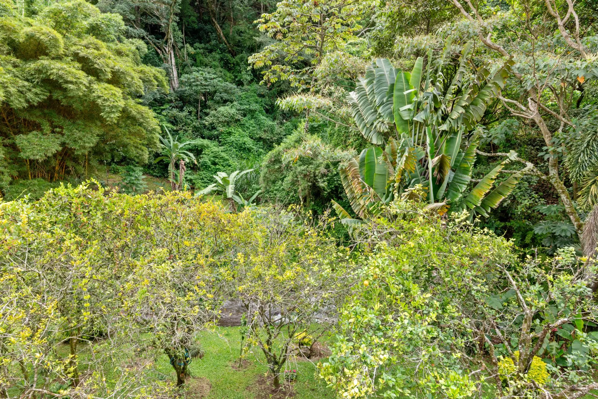 0 Chiriquí, Boquete, Valle Escondido, Unit 155-c #155-c - Photo 150