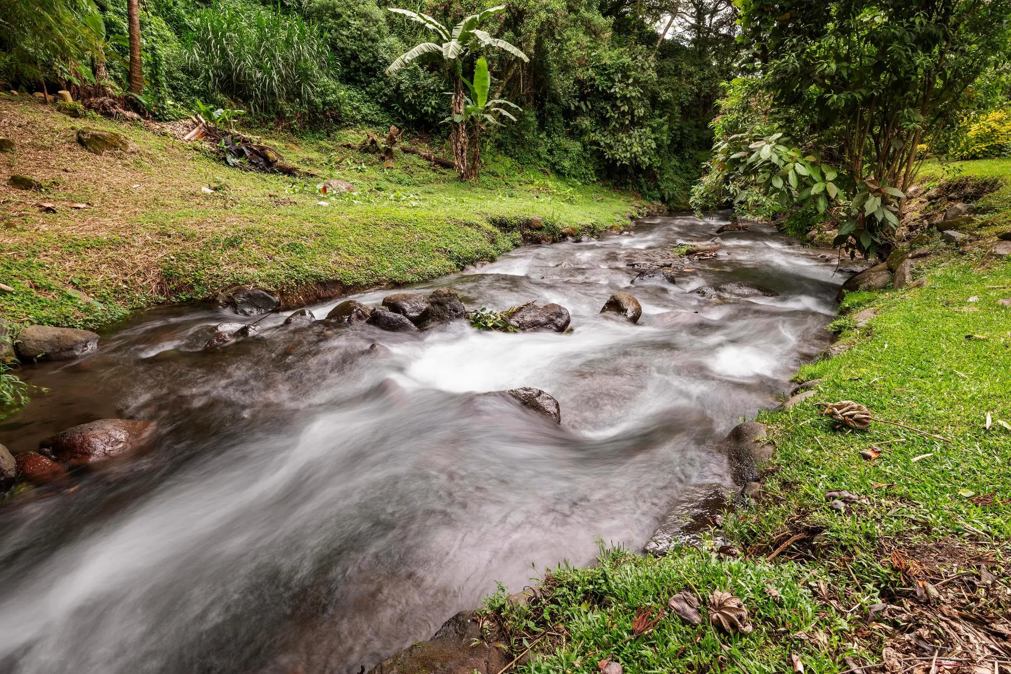 0 Chiriquí, Boquete, Valle Escondido, Unit 155-c #155-c - Photo 135