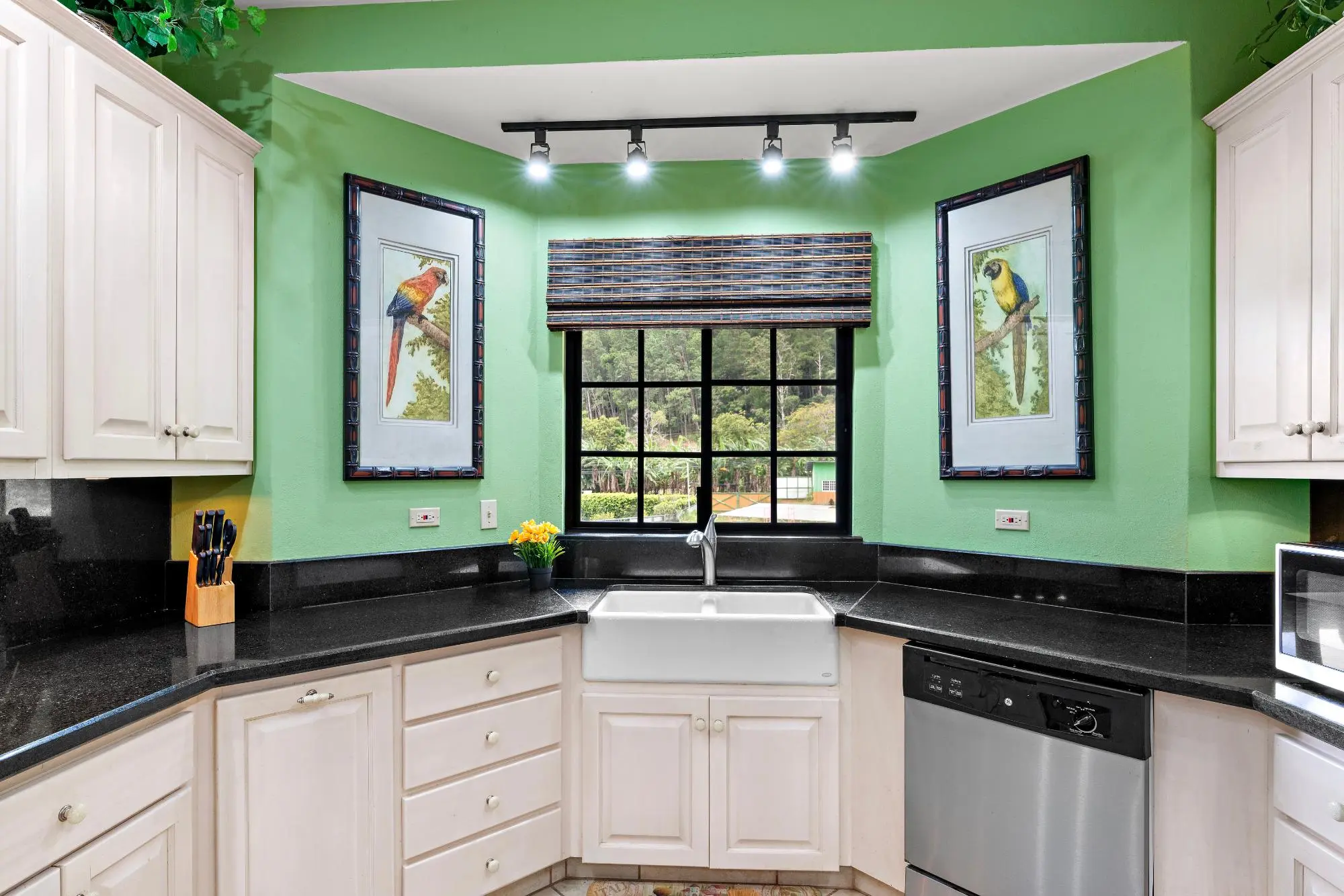 0 Chiriquí, Boquete, Valle Escondido, Unit 155-c #155-c - Photo 34