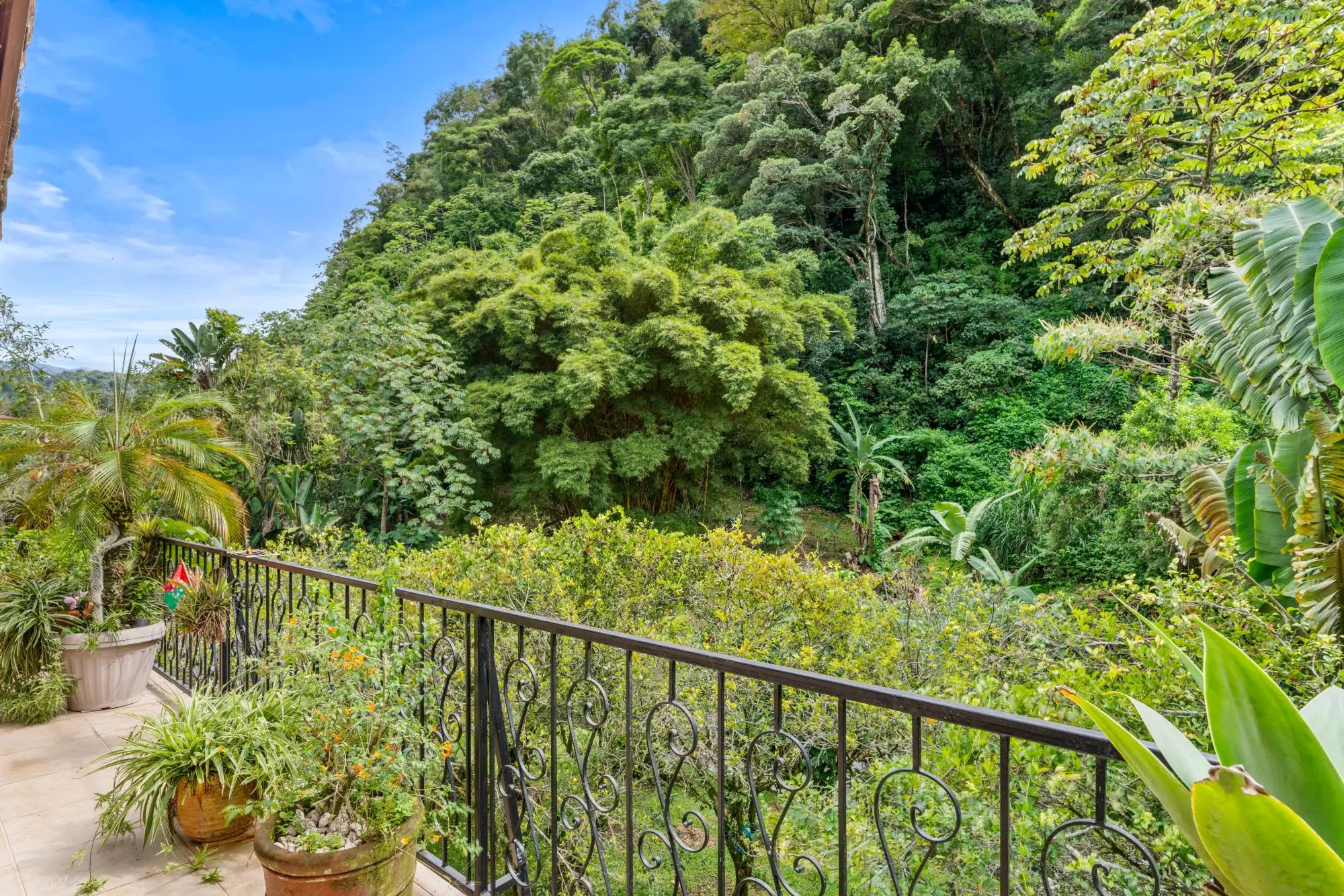 0 Chiriquí, Boquete, Valle Escondido, Unit 155-c #155-c - Photo 120