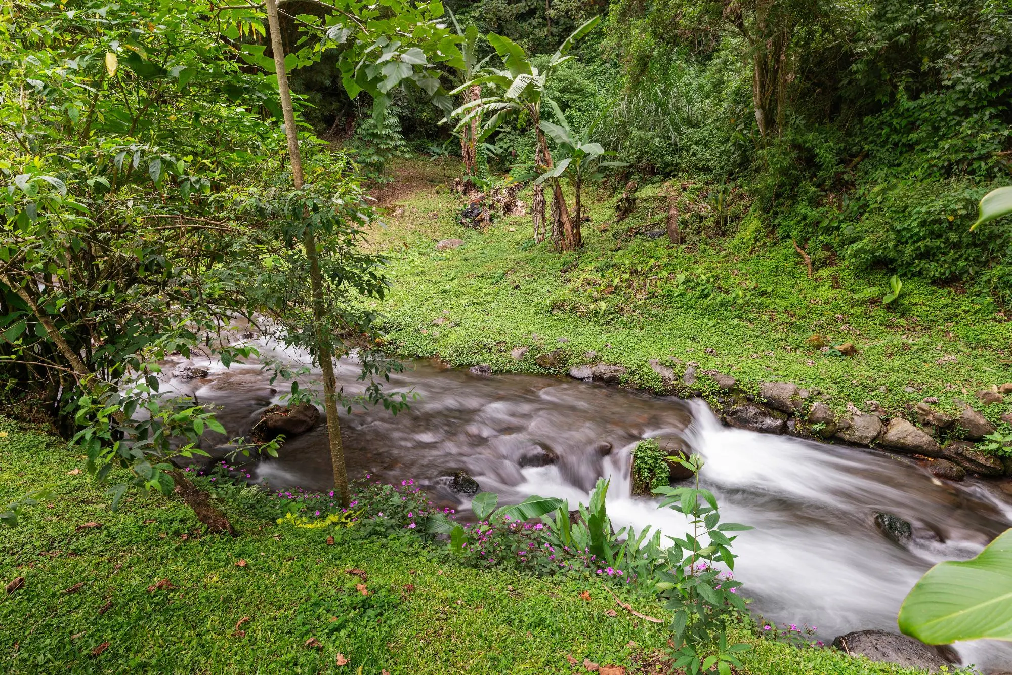 0 Chiriquí, Boquete, Valle Escondido, Unit 155-c #155-c - Photo 138