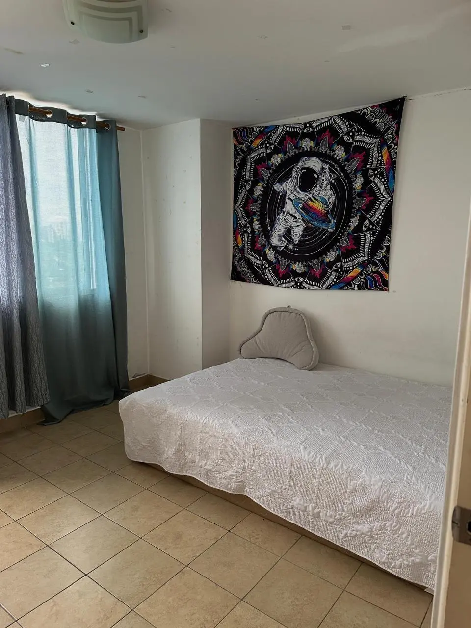 Avenida Ernesto T. Lefevre #17-d - Photo 25