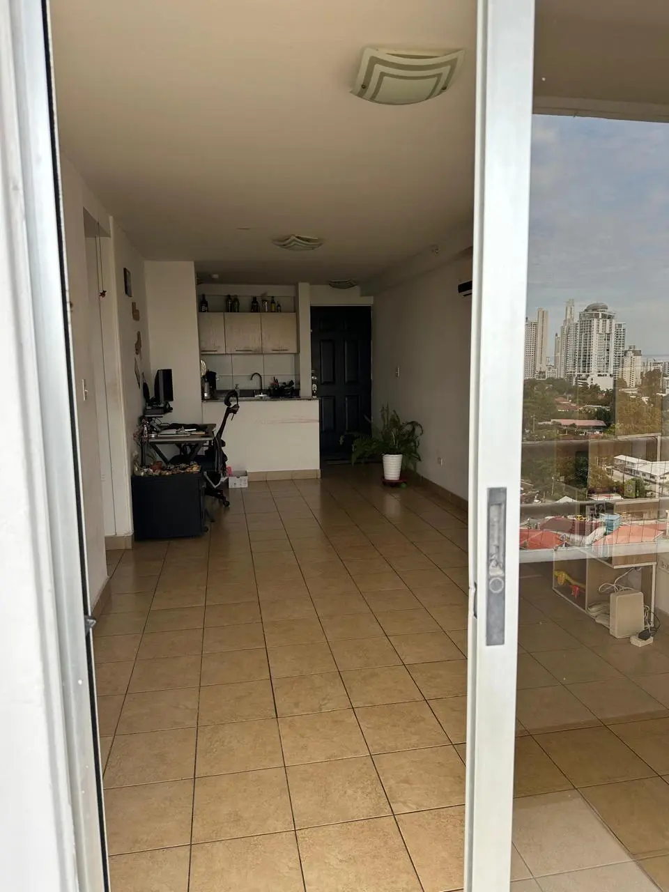 Avenida Ernesto T. Lefevre #17-d - Photo 10