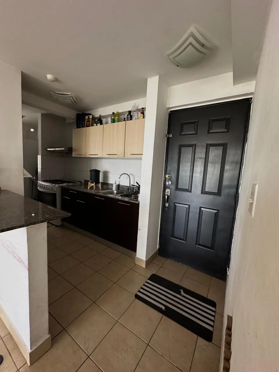 Avenida Ernesto T. Lefevre #17-d - Photo 5