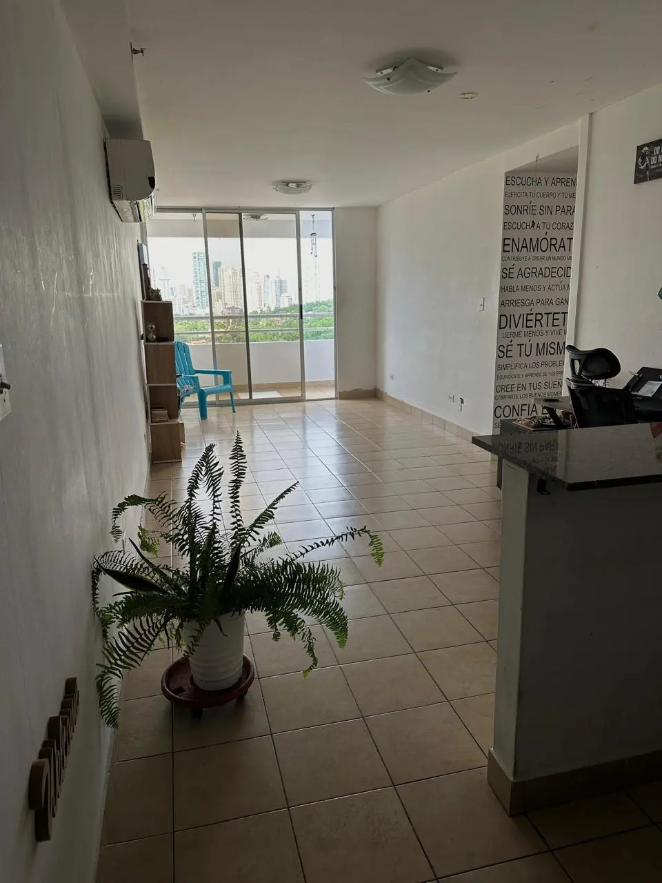 Avenida Ernesto T. Lefevre #17-d - Photo 8