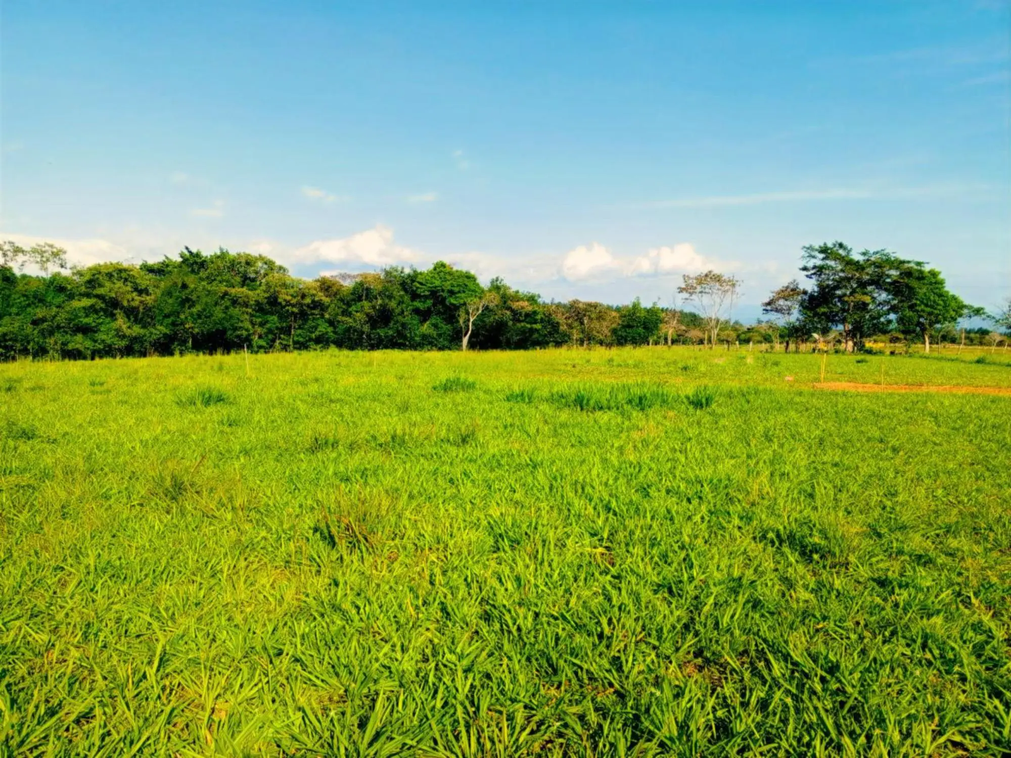 Potrerillos Arriba #5879m² - Photo 17