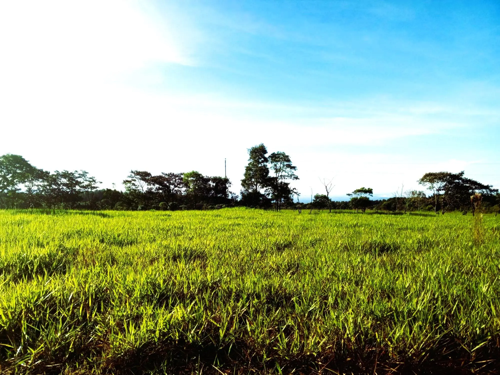 Potrerillos Arriba #5879m² - Photo 4