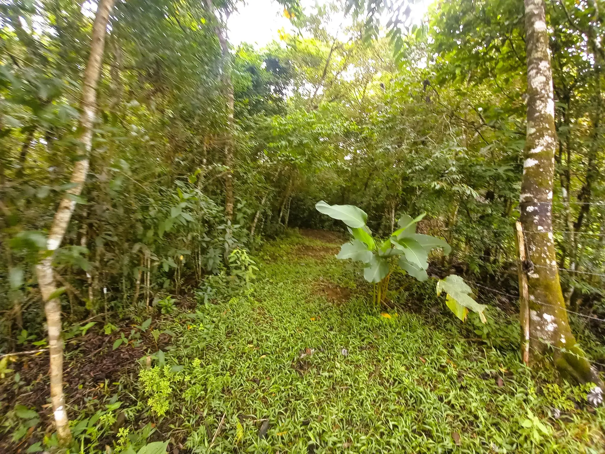 Potrerillos Arriba #5879m² - Photo 8