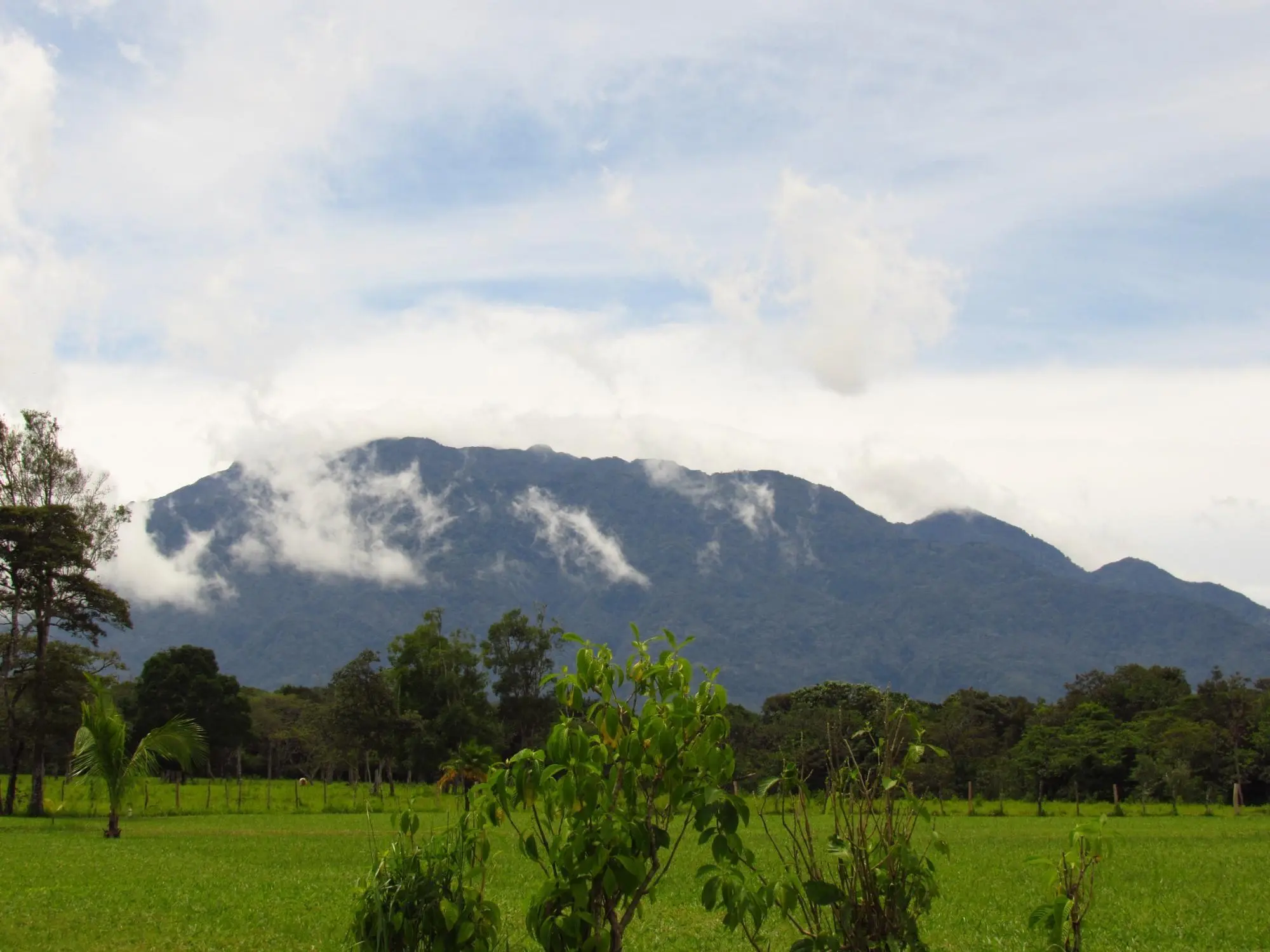 Potrerillos Arriba, Dolega #6059m² - Photo 5