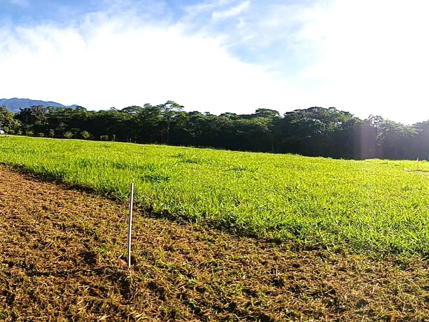 Potrerillos Arriba, Dolega #6059m² - Photo 10