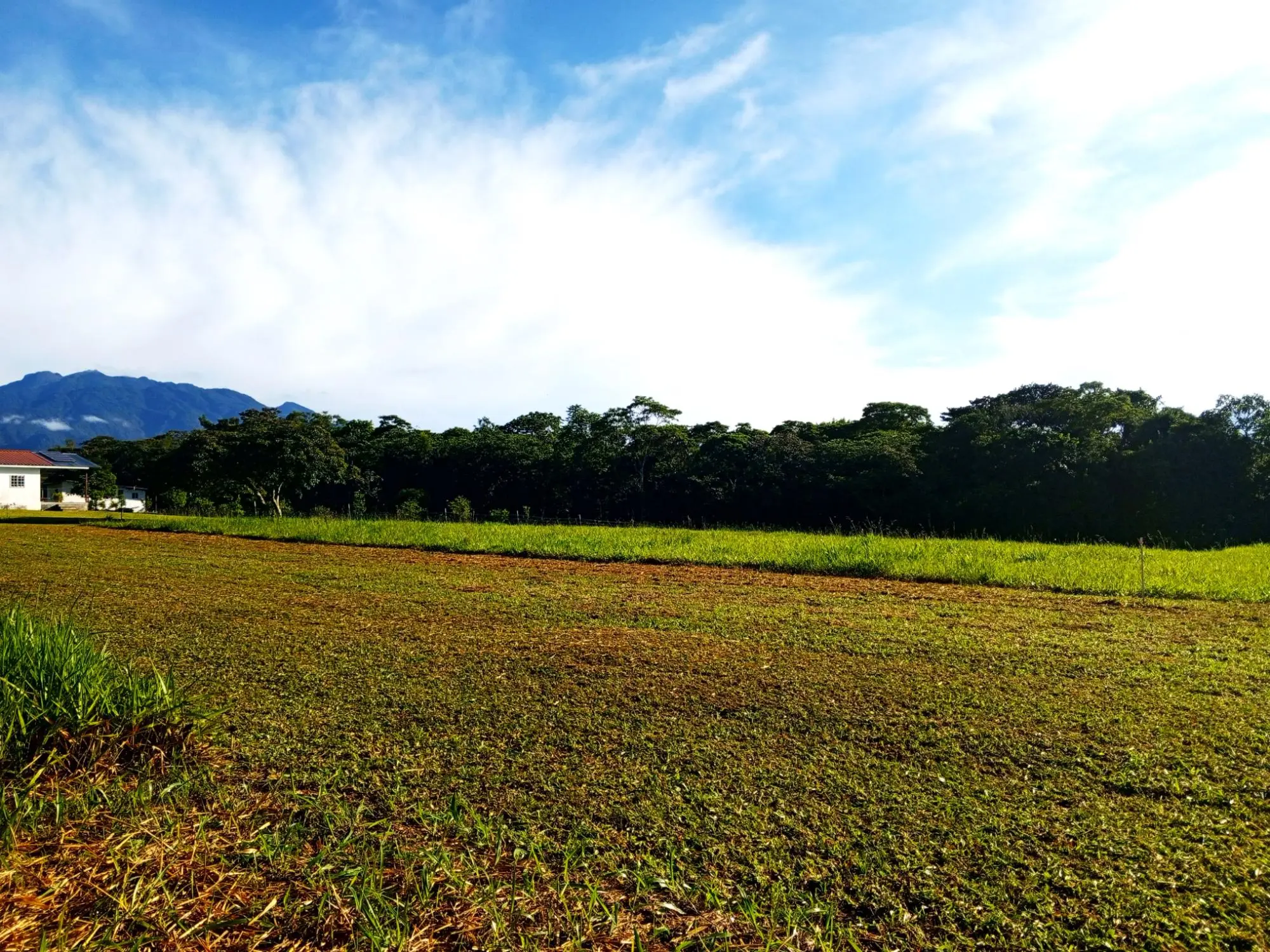 Potrerillos Arriba, Dolega #6059m² - Photo 13