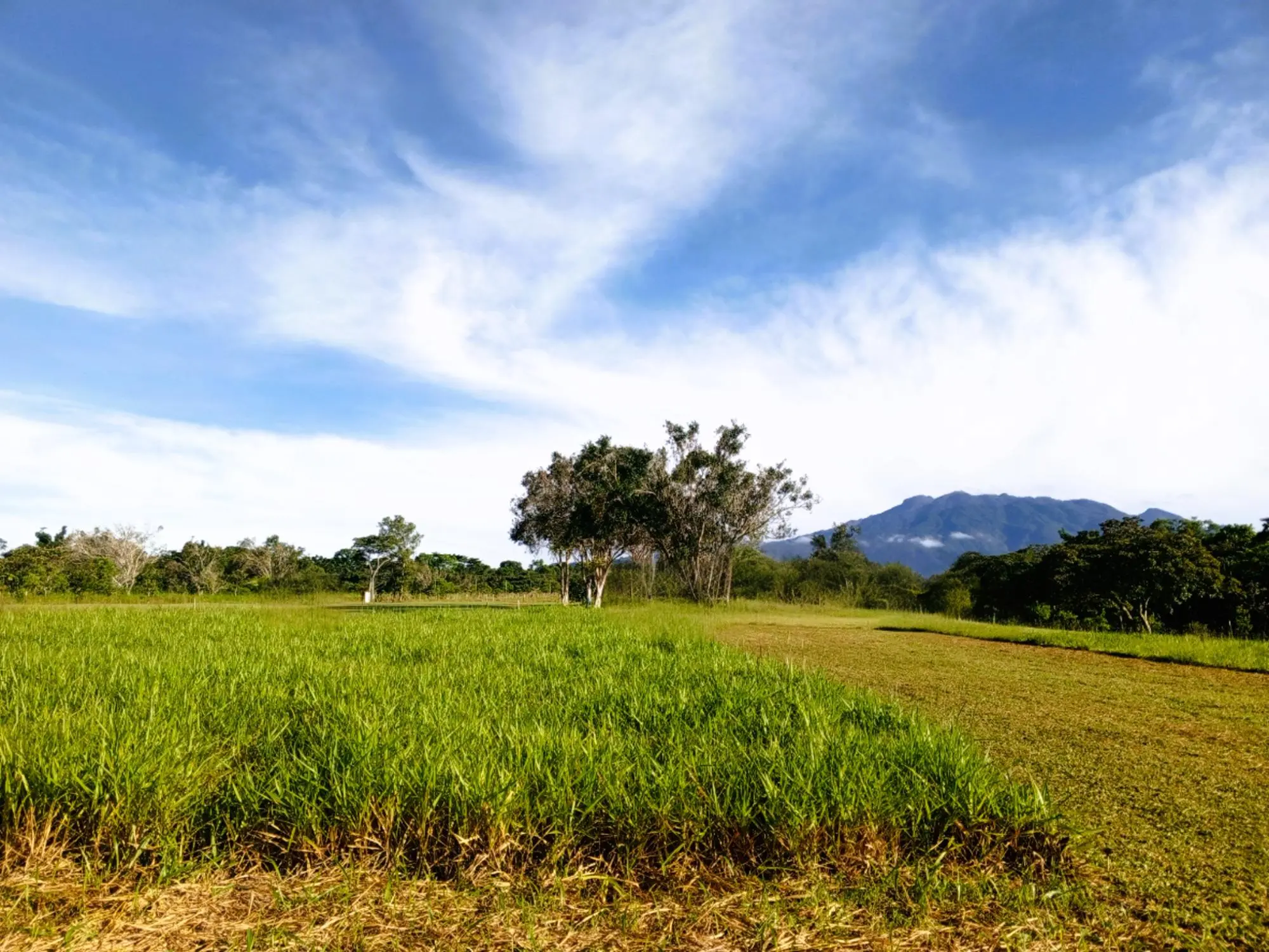 Potrerillos Arriba, Dolega #3124m² - Photo 6