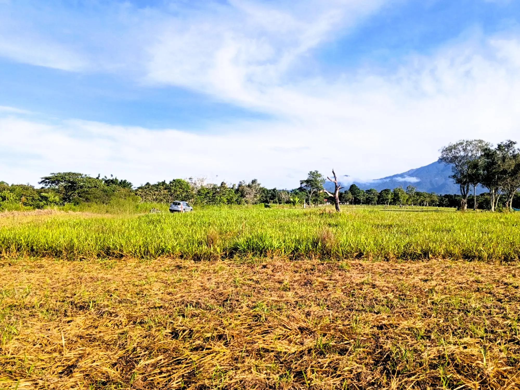 Potrerillos Arriba, Dolega #3124m² - Photo 9