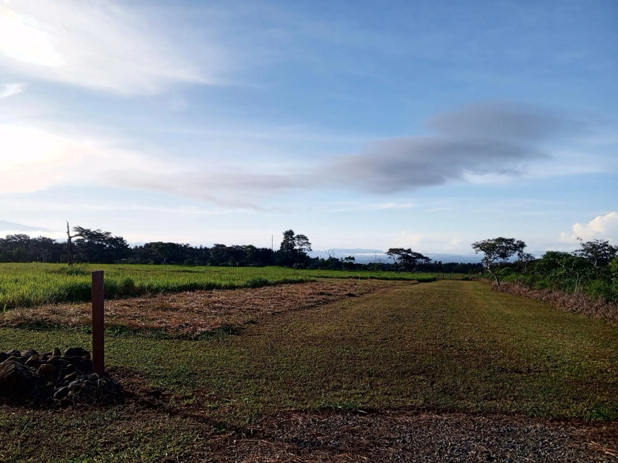 Potrerillos Arriba, Dolega #3124m² - Photo 18