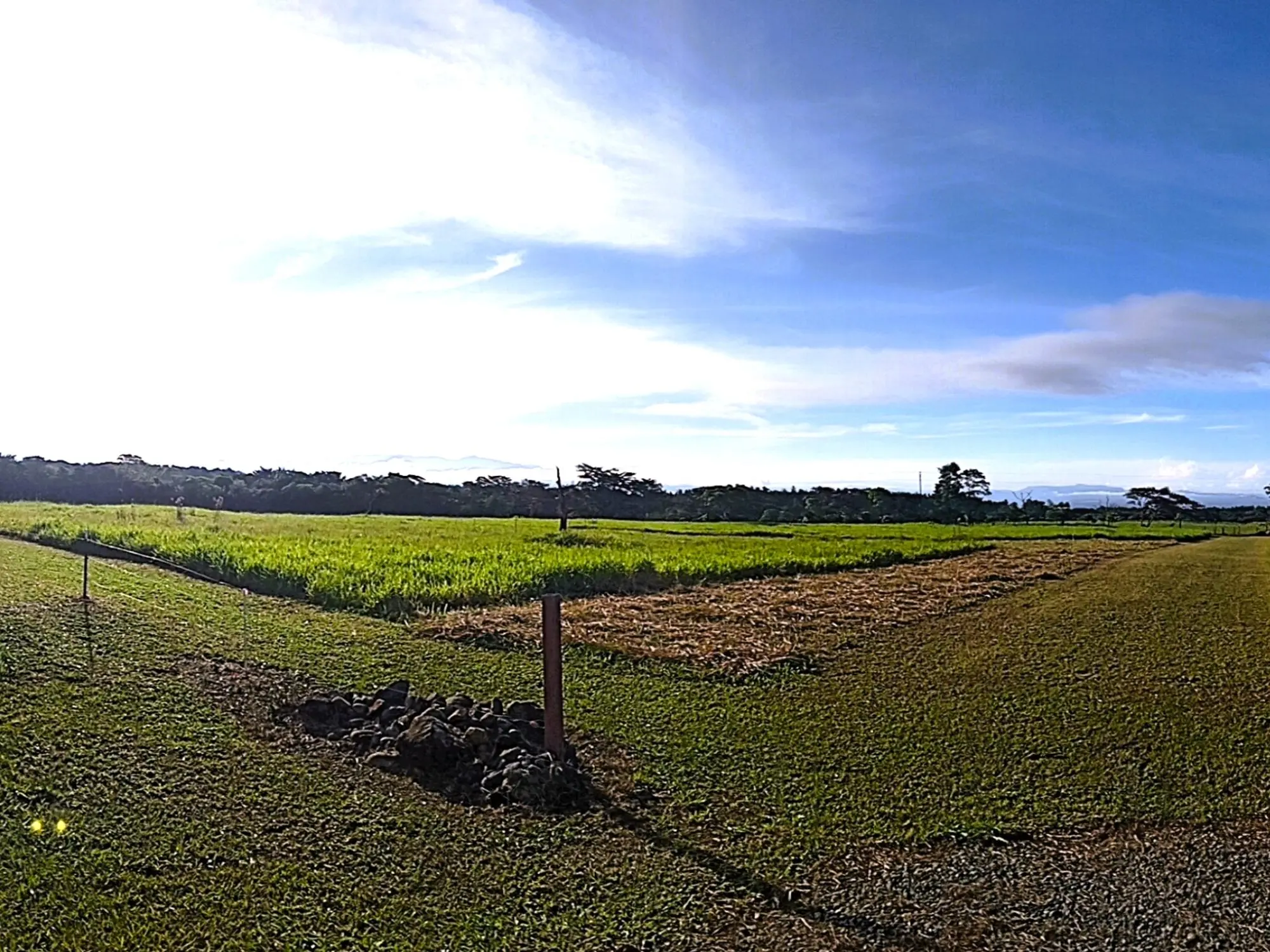 Potrerillos Arriba, Dolega #3124m² - Photo 15