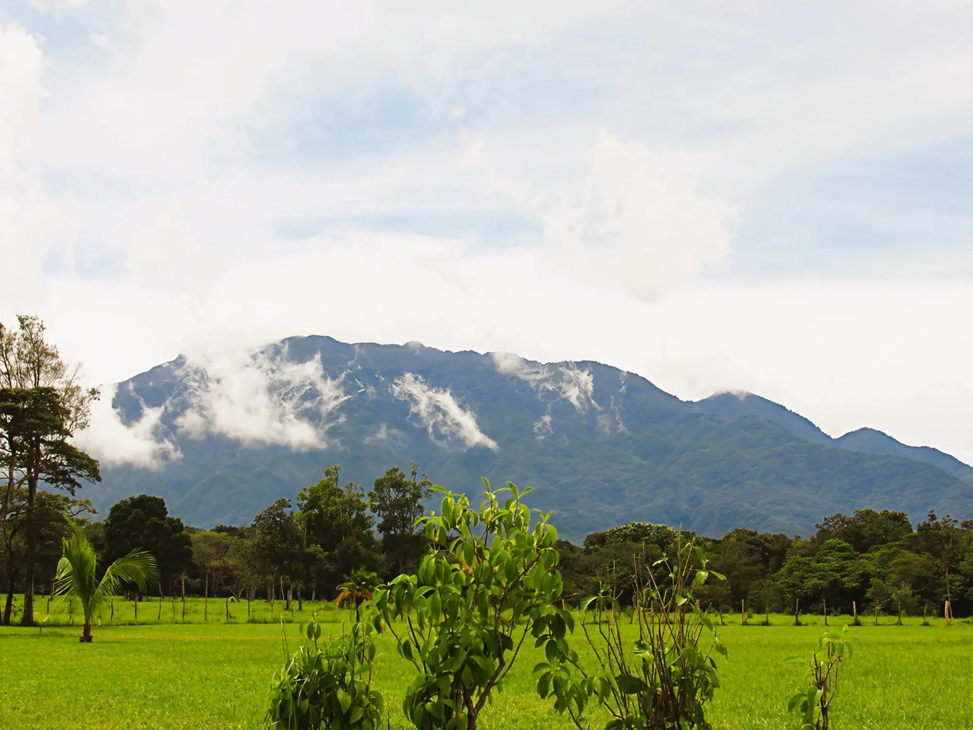 Potrerillos Arriba, Dolega #3072m² - Photo 21