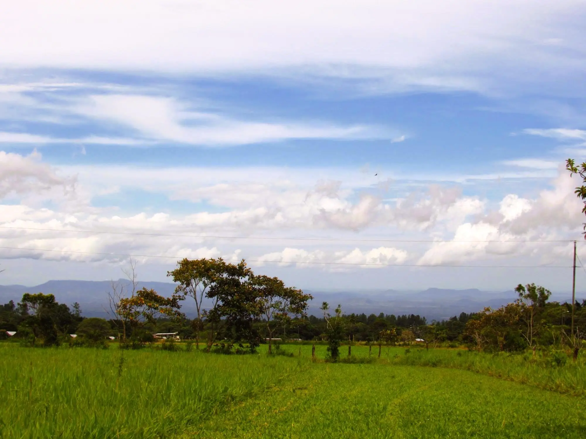 Potrerillos Arriba, Dolega #3072m² - Photo 5