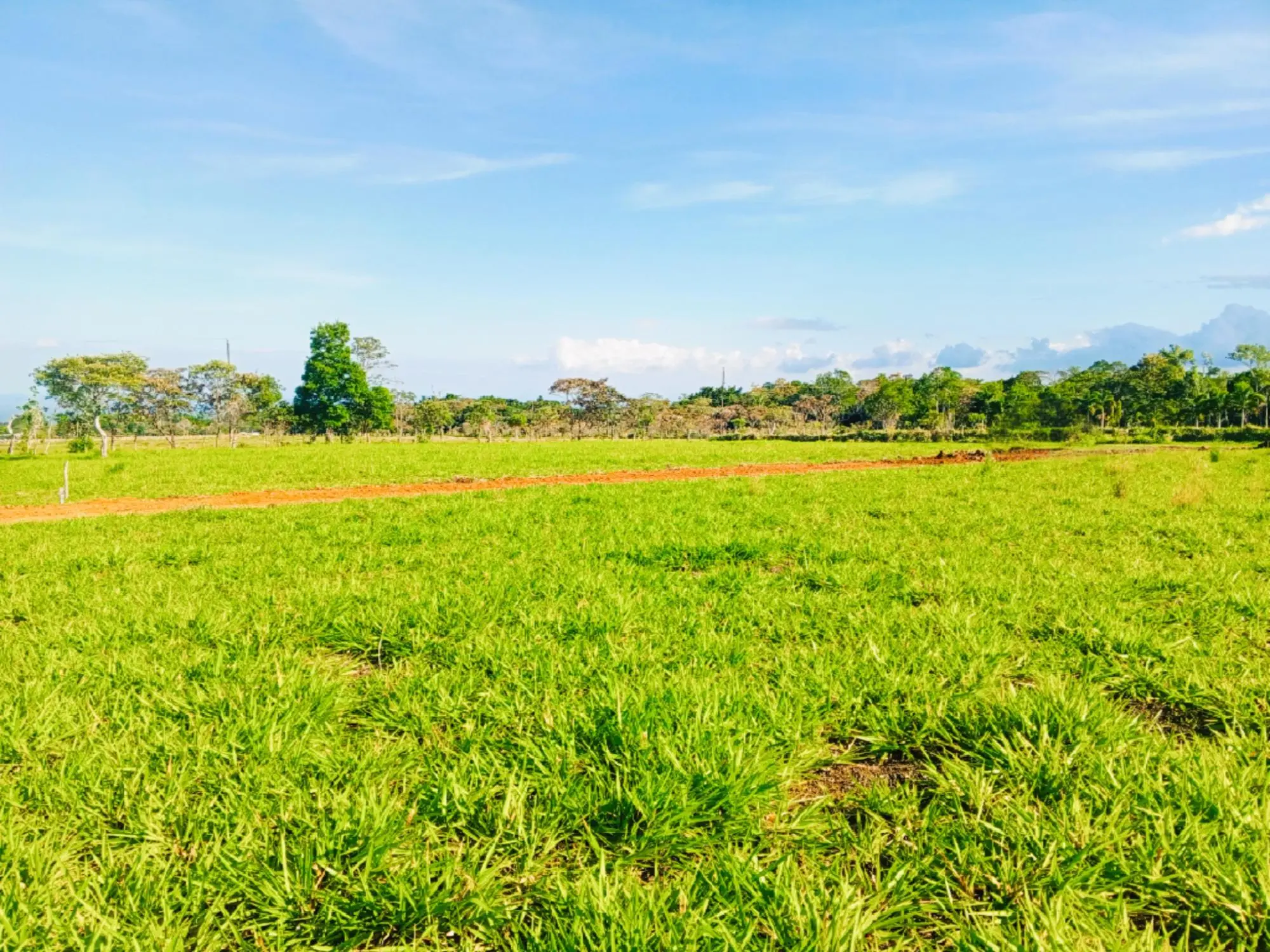 Potrerillos Arriba, Dolega #3072m² - Photo 18