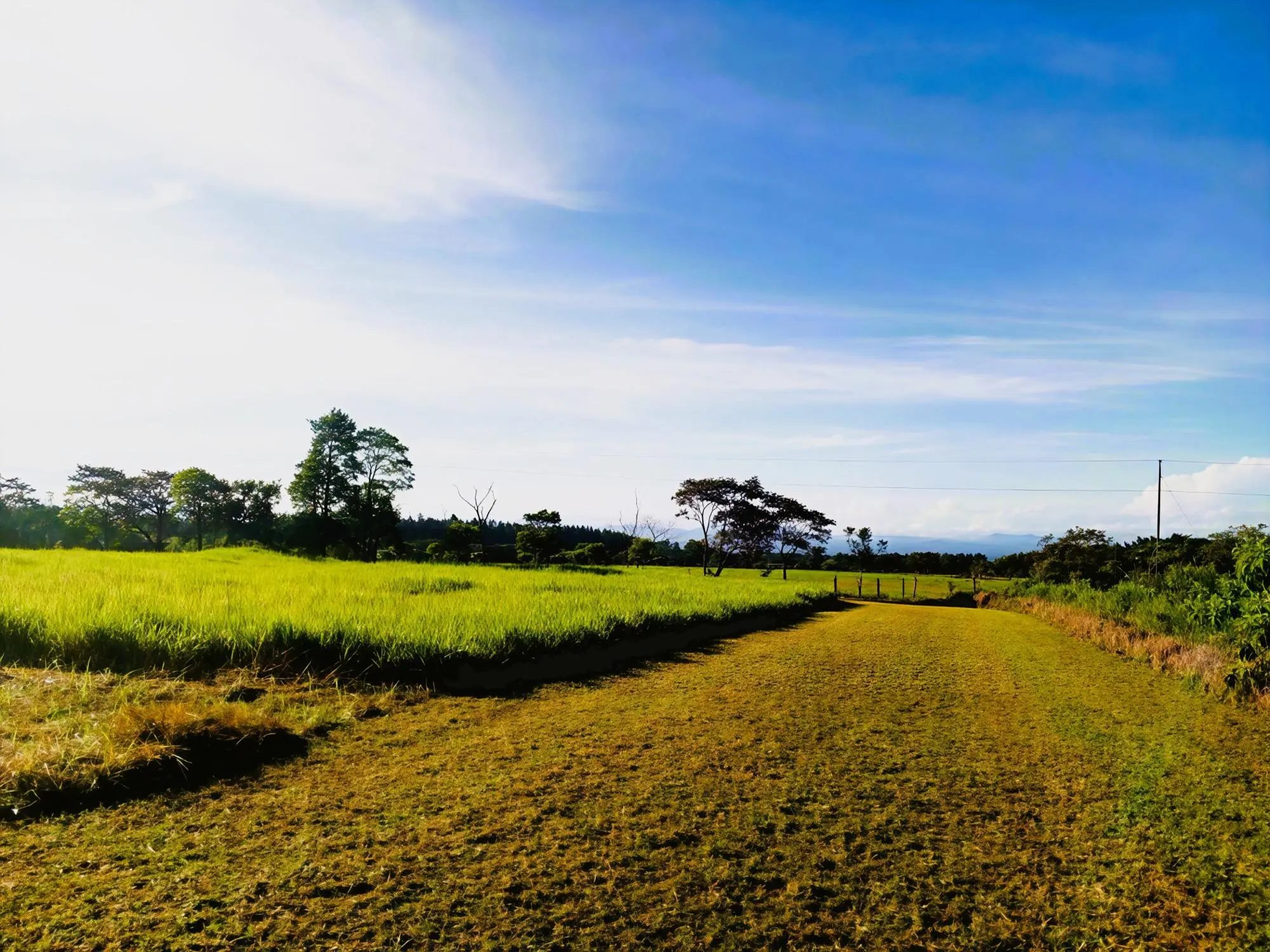 Potrerillos Arriba, Dolega #3072m² - Photo 8