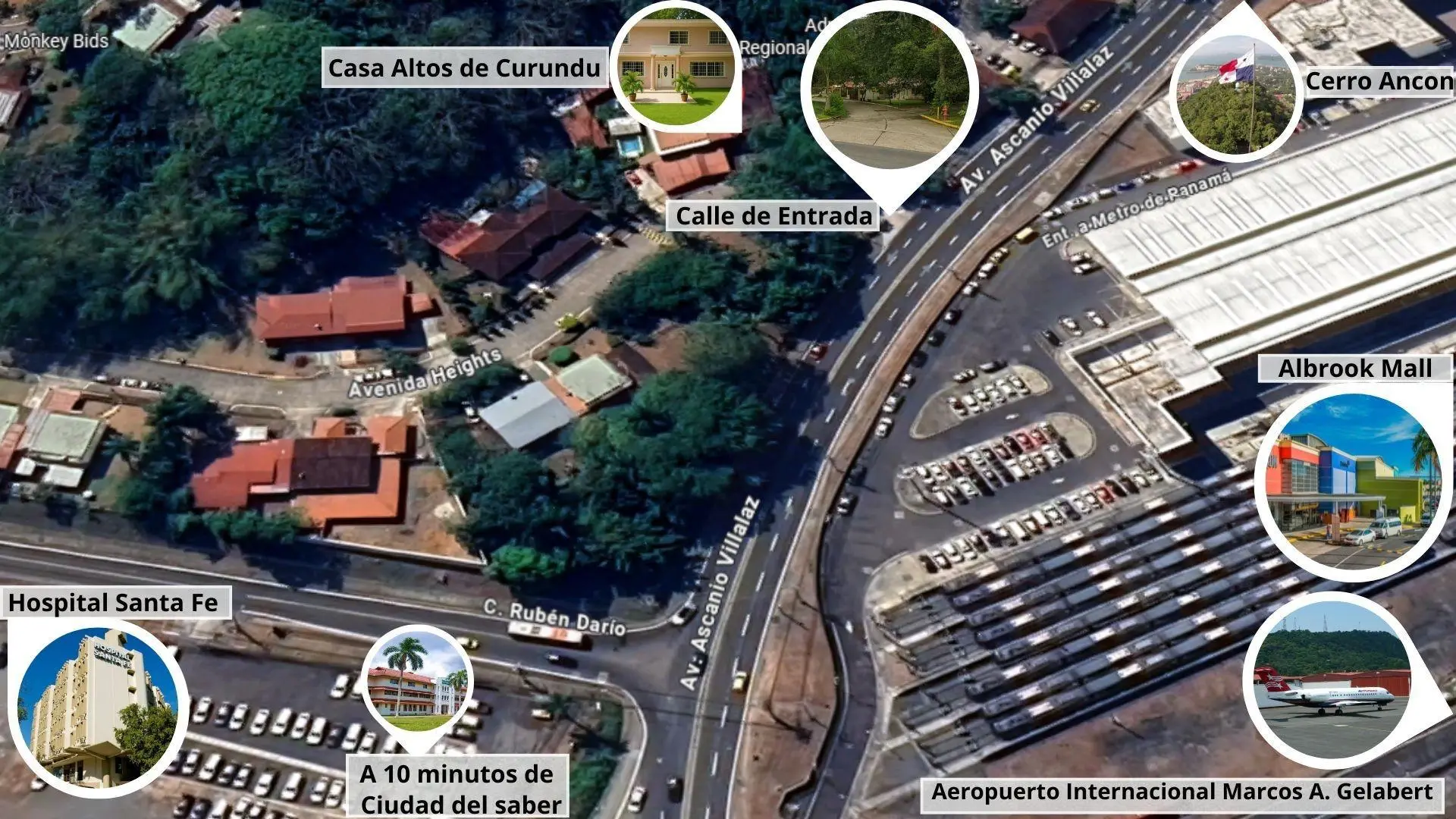 Avenida Heights #521-a - Photo 42