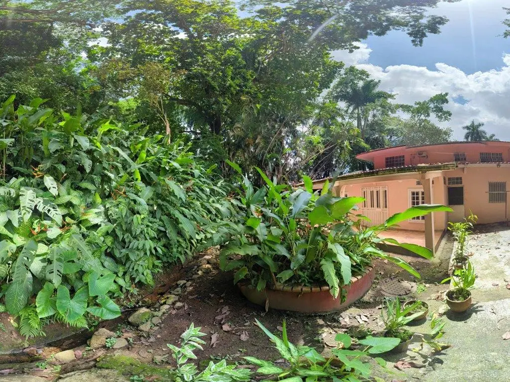 Avenida Heights #521-a - Photo 32