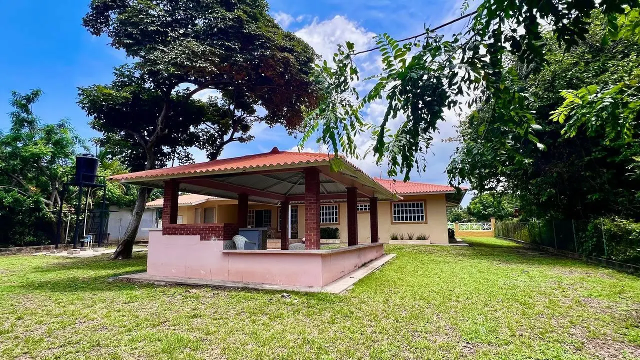 21 Calle Horizonte - Photo 57